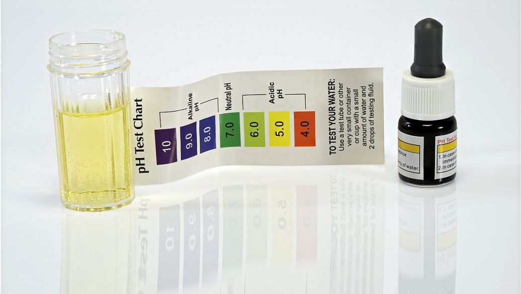 Litmus Indicator price | Shaanxi BLOOM Tech Co., Ltd