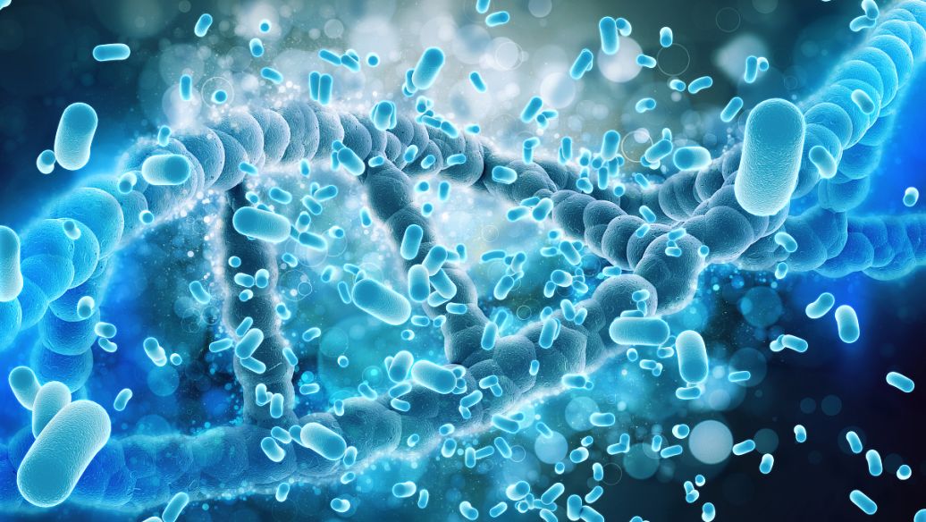 Tropinone for sales | Shaanxi BLOOM Tech Co., Ltd