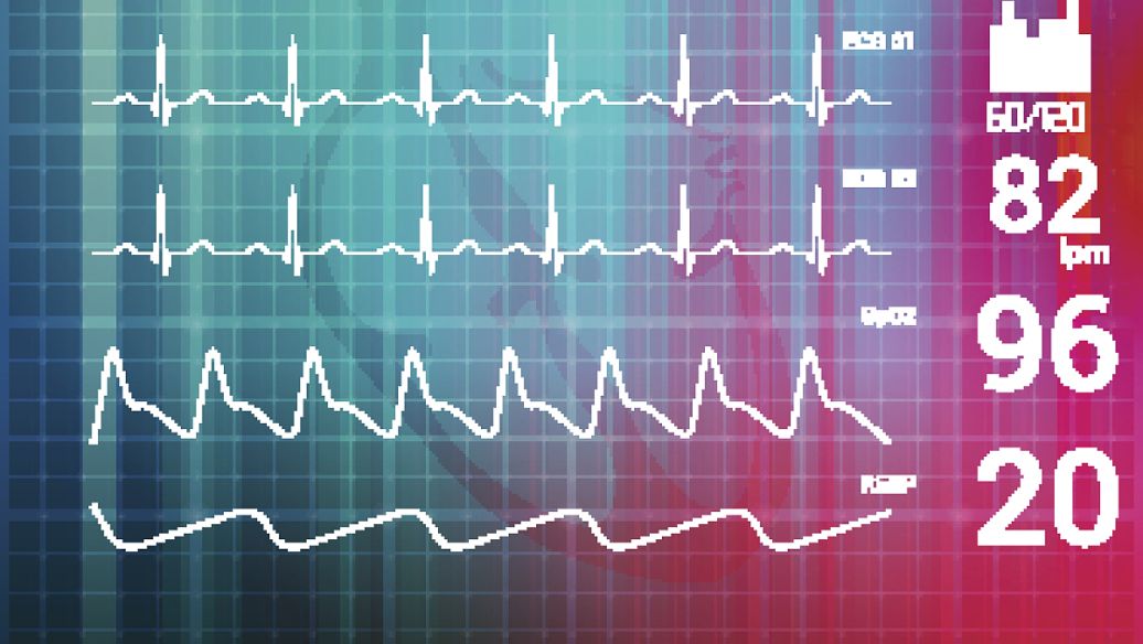 Orforglipron cost | Shaanxi BLOOM Tech Co., Ltd Orforglipron cost | Shaanxi BLOOM Tech Co., Ltd