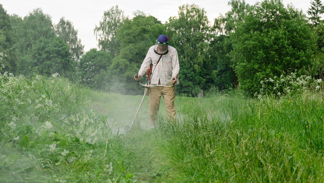 Hydroxylamine hydrochloride uses | Shaanxi BLOOM Tech Co., Ltd Hydroxylamine hydrochloride uses | Shaanxi BLOOM Tech Co., Ltd