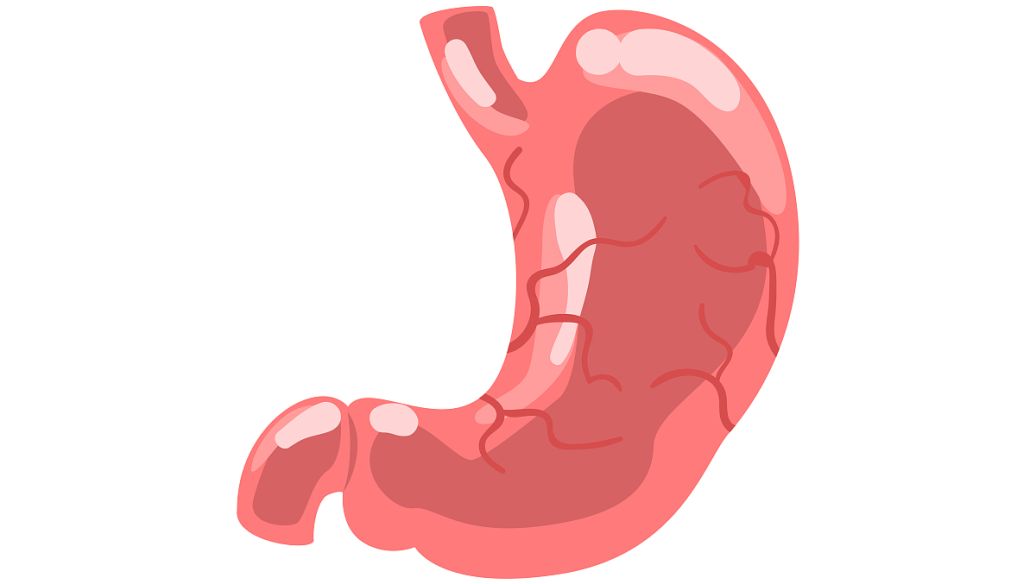 Pramlintide uses | Shaanxi BLOOM Tech Co., Ltd Pramlintide uses | Shaanxi BLOOM Tech Co., Ltd