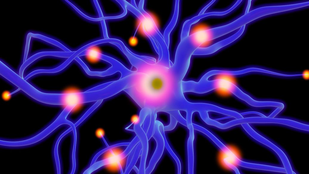 Exenatide Drugs | Shaanxi BLOOM Tech Co., Ltd