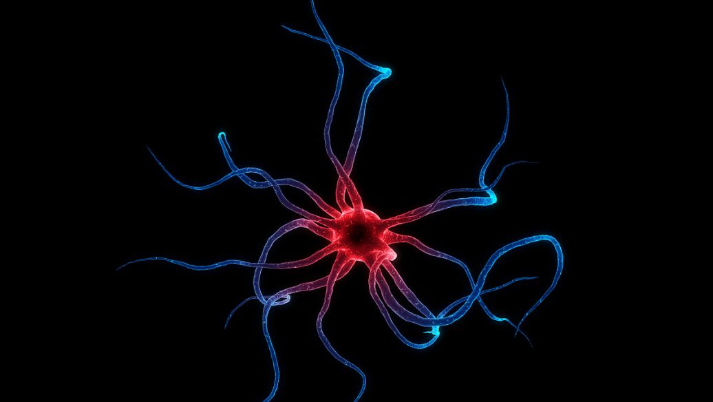 Pinealon uses | Shaanxi BLOOM Tech Co., Ltd