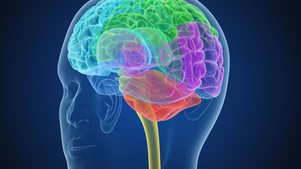 Alarelin core application value | Shaanxi BLOOM Tech Co., Ltd Alarelin core application value | Shaanxi BLOOM Tech Co., Ltd