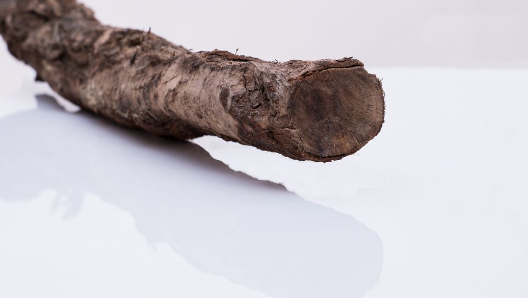 肉苁蓉的功效与作用