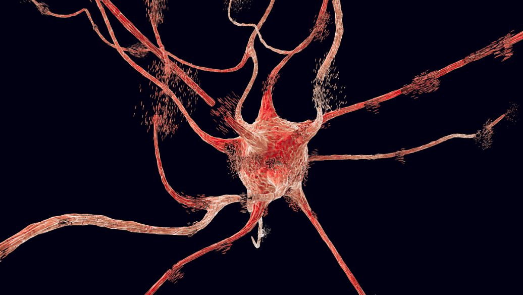 SLU-PP-332 Injection uses | Shaanxi BLOOM Tech Co., Ltd SLU-PP-332 Injection uses | Shaanxi BLOOM Tech Co., Ltd