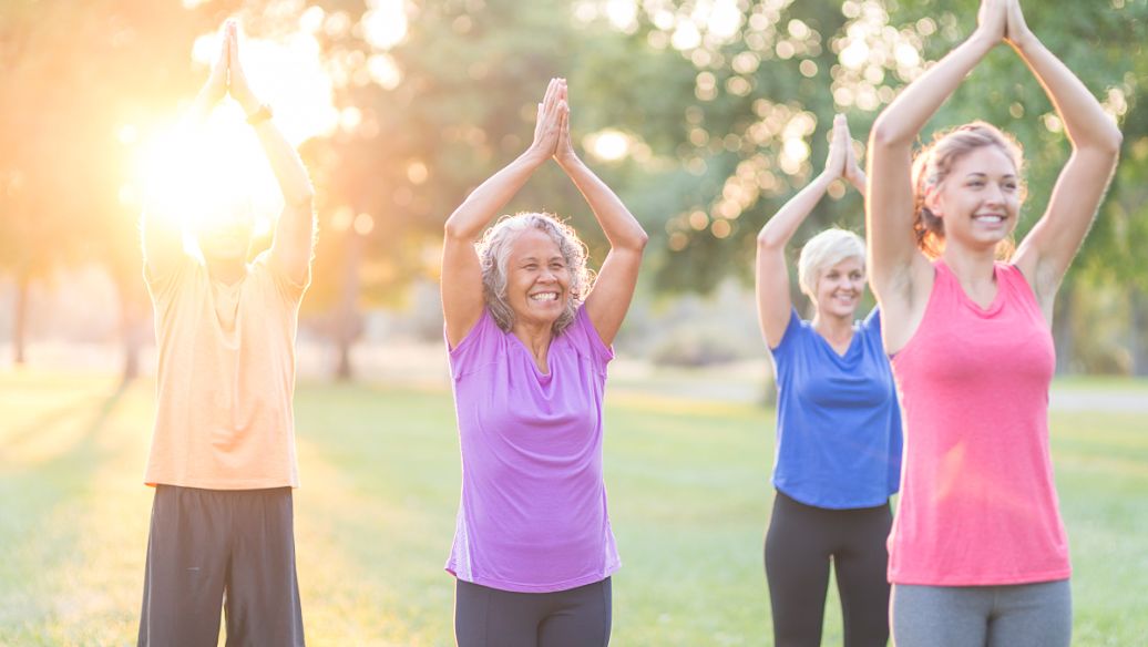 Eriodictyol powder uses | Shaanxi BLOOM Tech Co., Ltd Eriodictyol powder uses | Shaanxi BLOOM Tech Co., Ltd