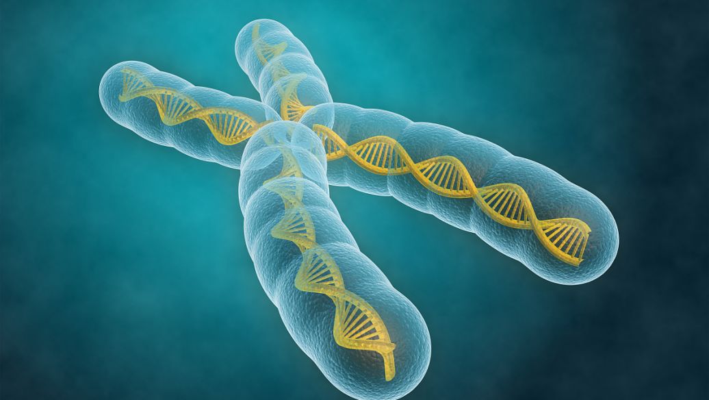 SLU-PP-332 Drugs | Shaanxi BLOOM Tech Co., Ltd