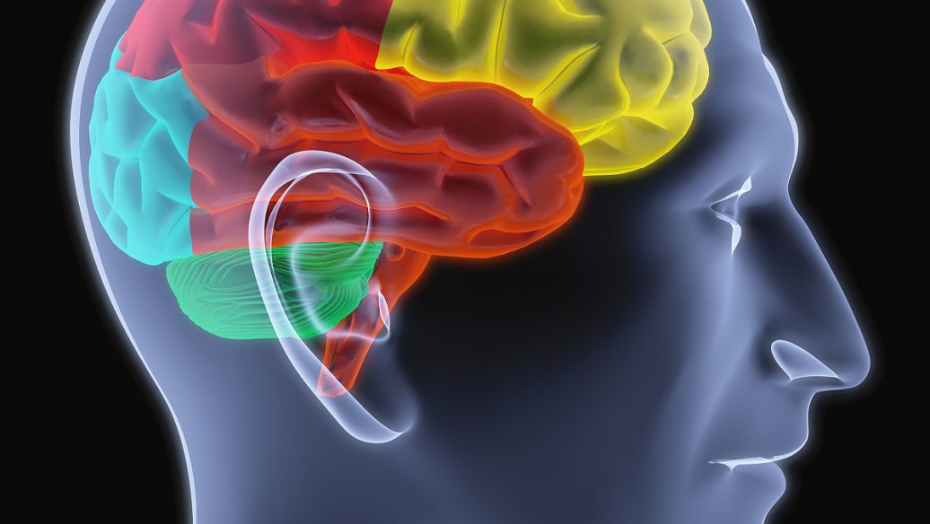 Pramlintide Central Targets | Shaanxi BLOOM Tech Co., Ltd