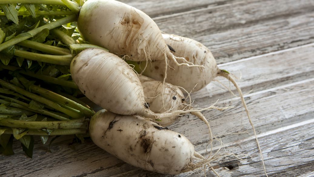 中药葛根的功效