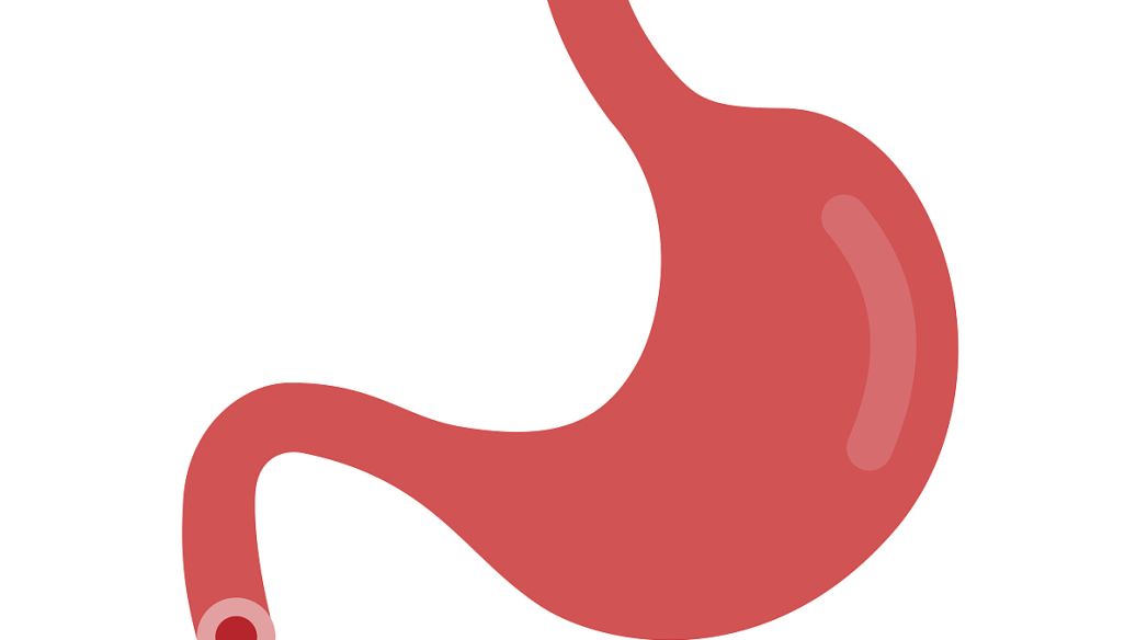 Lixisenatide nerve | Shaanxi BLOOM Tech Co., Ltd Lixisenatide nerve | Shaanxi BLOOM Tech Co., Ltd