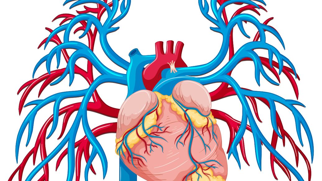 4-Methylcatechol uses | Shaanxi BLOOM Tech Co., Ltd 4-Methylcatechol uses | Shaanxi BLOOM Tech Co., Ltd