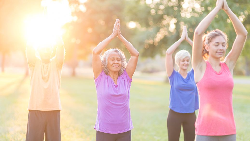 SLU-PP-332 Health Ecosystems | Shaanxi BLOOM Tech Co., Ltd SLU-PP-332 Health Ecosystems | Shaanxi BLOOM Tech Co., Ltd