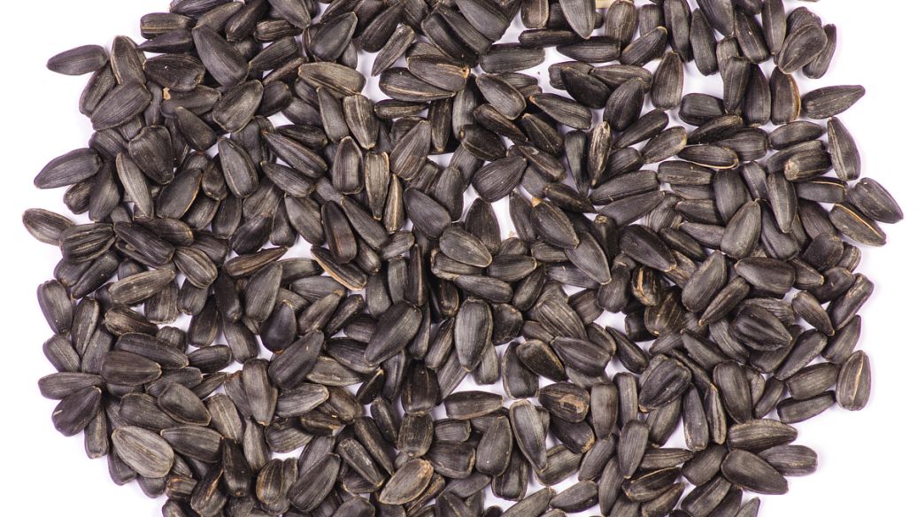 蓖麻叶的功效与作用