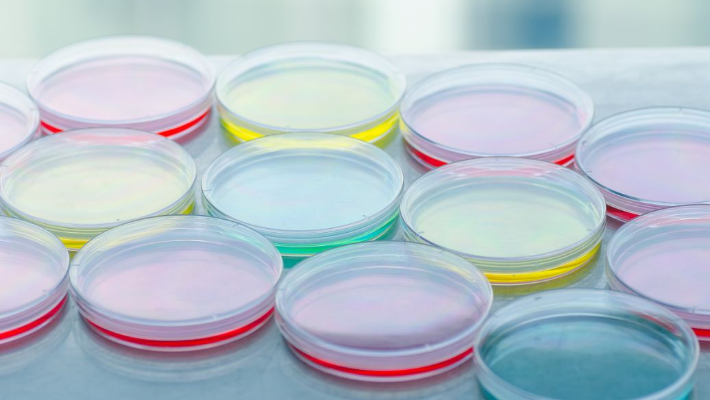 Triethylene glycol diacetate melt | Shaanxi BLOOM Tech Co., Ltd Triethylene glycol diacetate melt | Shaanxi BLOOM Tech Co., Ltd