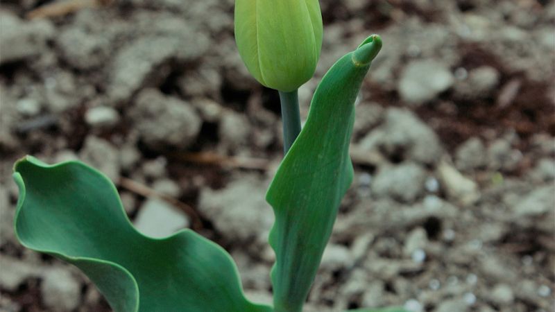 百合吧 百度贴吧 二次元 百合动漫 讨论吧 本贴吧是二次元百合动漫的讨论吧 内容包括但不限于现有的百合 向漫画 动画 游戏 同人志 小说 本吧的话题以广义的二次元百合向作品讨论为主 并不限于单个作品