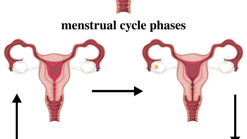 Ganirelix acetate treatment | Shaanxi BLOOM Tech Co., Ltd Ganirelix acetate treatment | Shaanxi BLOOM Tech Co., Ltd