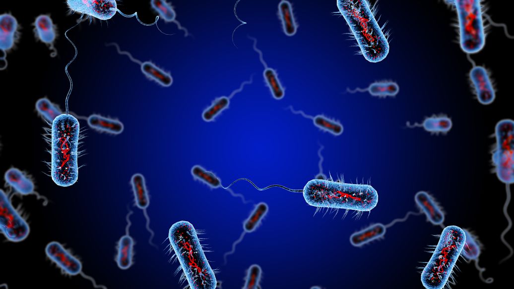 4-Pyrrolidinopyridine uses CAS 2456-81-7 | Shaanxi BLOOM Tech Co., Ltd 4-Pyrrolidinopyridine uses CAS 2456-81-7 | Shaanxi BLOOM Tech Co., Ltd