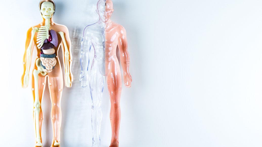 SLU PP 332 Capsules price | Shaanxi BLOOM Tech Co., Ltd SLU PP 332 Capsules price | Shaanxi BLOOM Tech Co., Ltd