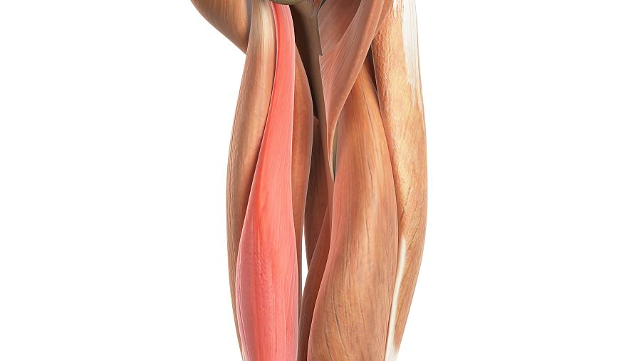 5-Amino-1MQ price | Shaanxi BLOOM Tech Co., Ltd