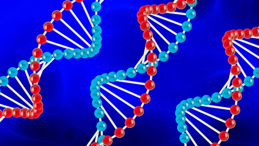 Pasireotide uses | Shaanxi BLOOM Tech Co., Ltd Pasireotide uses | Shaanxi BLOOM Tech Co., Ltd