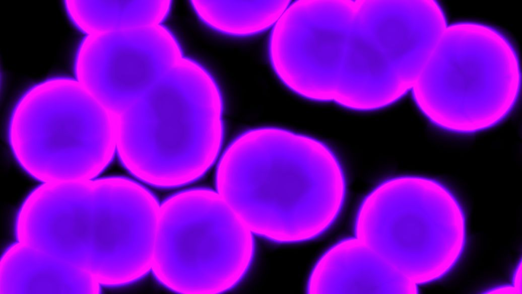 3,4',5-Trimethoxy-trans-stilbene Chemiluminant | Shaanxi BLOOM Tech Co., Ltd