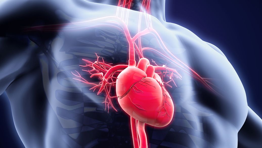 Propitocaine hydrochloride for sale | Shaanxi BLOOM Tech Co., Ltd Propitocaine hydrochloride for sale | Shaanxi BLOOM Tech Co., Ltd