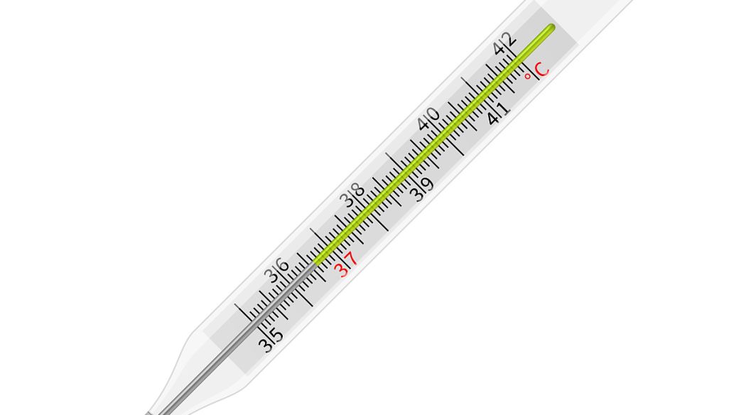 CJC 1295 mechanism | Shaanxi BLOOM Tech Co., Ltd CJC 1295 mechanism | Shaanxi BLOOM Tech Co., Ltd