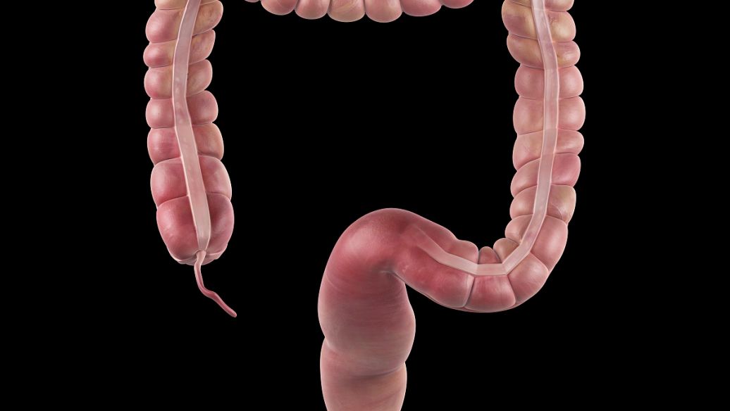 Pramlintide purchase | Shaanxi BLOOM Tech Co., Ltd Pramlintide purchase | Shaanxi BLOOM Tech Co., Ltd