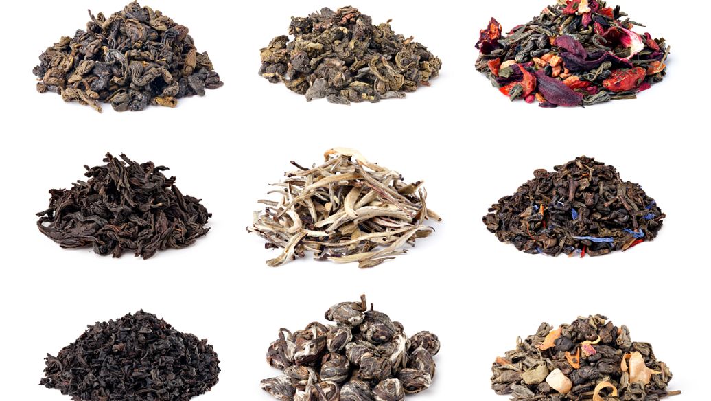 山乌龟的功效与作用