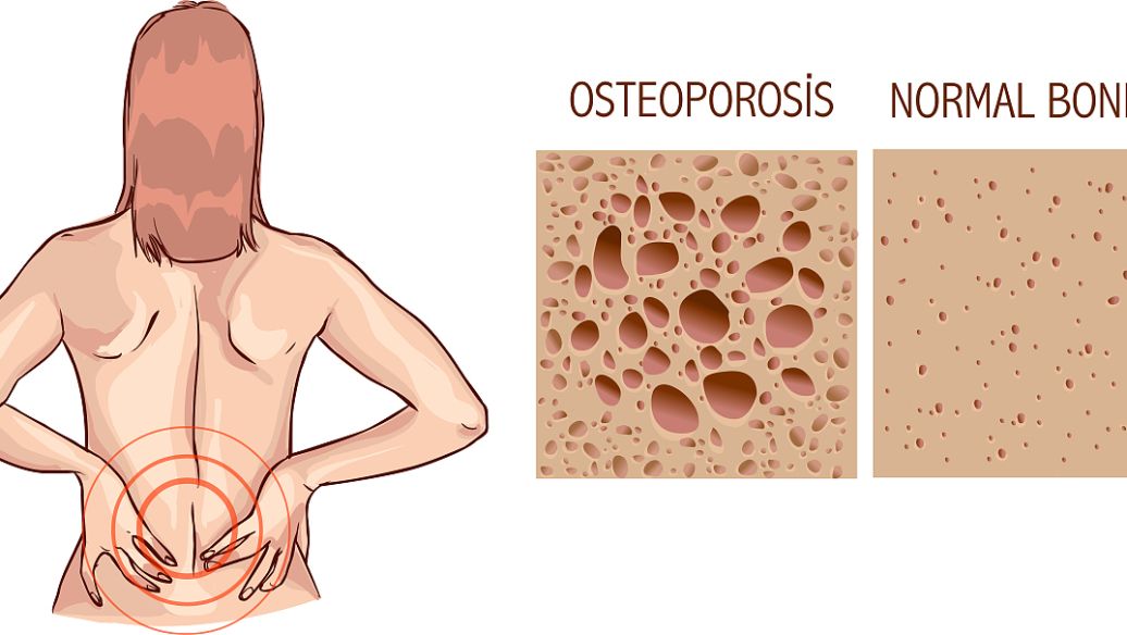 CJC 1295 function | Shaanxi BLOOM Tech Co., Ltd