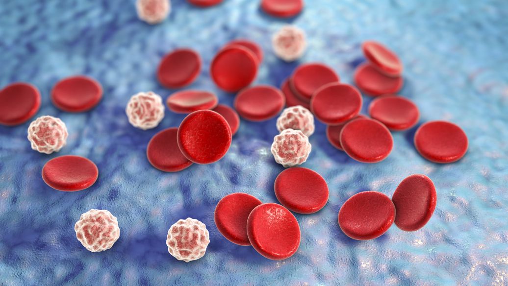 Acethydrazide Antiplatelet Therapy | Shaanxi BLOOM Tech Co., Ltd Acethydrazide Antiplatelet Therapy | Shaanxi BLOOM Tech Co., Ltd