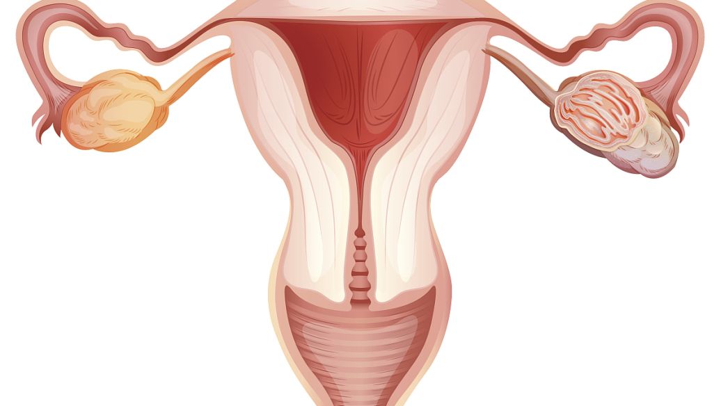 Letrozole uses | Shaanxi BLOOM Tech Co., Ltd Letrozole uses | Shaanxi BLOOM Tech Co., Ltd