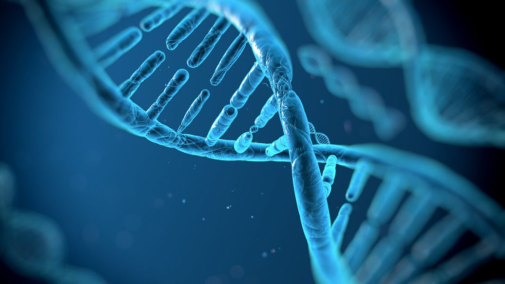 Biotinoyl Tripeptide-1 Protein | Shaanxi BLOOM Tech Co., Ltd