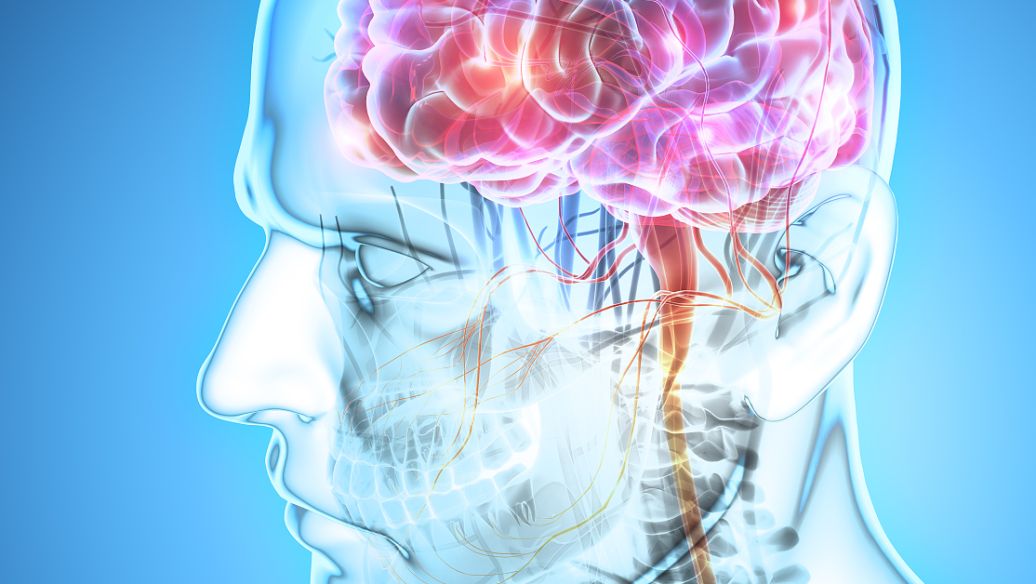 ACTH (4-10) price | Shaanxi BLOOM Tech Co., Ltd ACTH (4-10) price | Shaanxi BLOOM Tech Co., Ltd