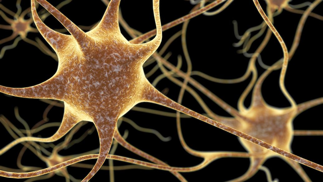 Hexarelin online | Shaanxi BLOOM Tech Co., Ltd