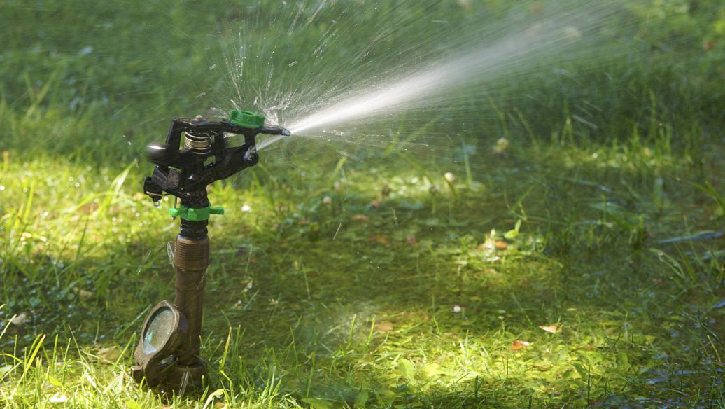 Osthole Lipid-Lowering Agricultural Applications | Shaanxi BLOOM Tech Co., Ltd Osthole Lipid-Lowering Agricultural Applications | Shaanxi BLOOM Tech Co., Ltd