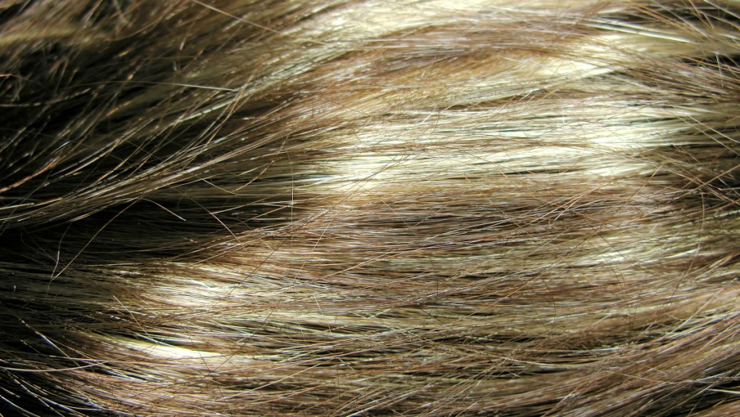 Tallowamine hair | Shaanxi BLOOM Tech Co., Ltd Tallowamine hair | Shaanxi BLOOM Tech Co., Ltd