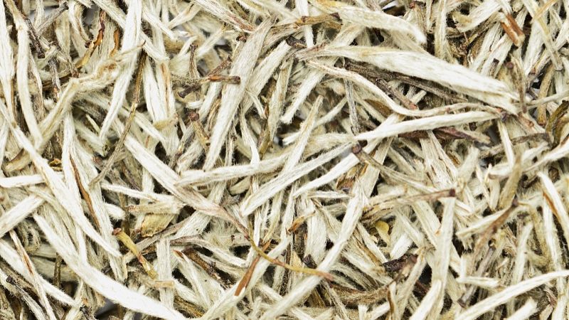 鸭子的功效与作用