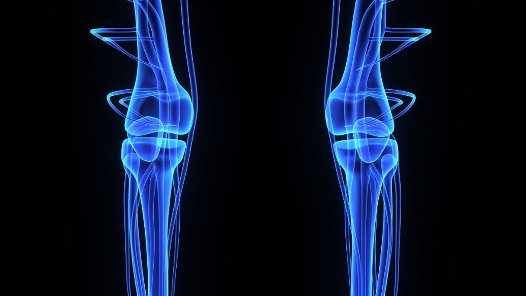 5-Amino-1MQ for sale | Shaanxi BLOOM Tech Co., Ltd 5-Amino-1MQ for sale | Shaanxi BLOOM Tech Co., Ltd