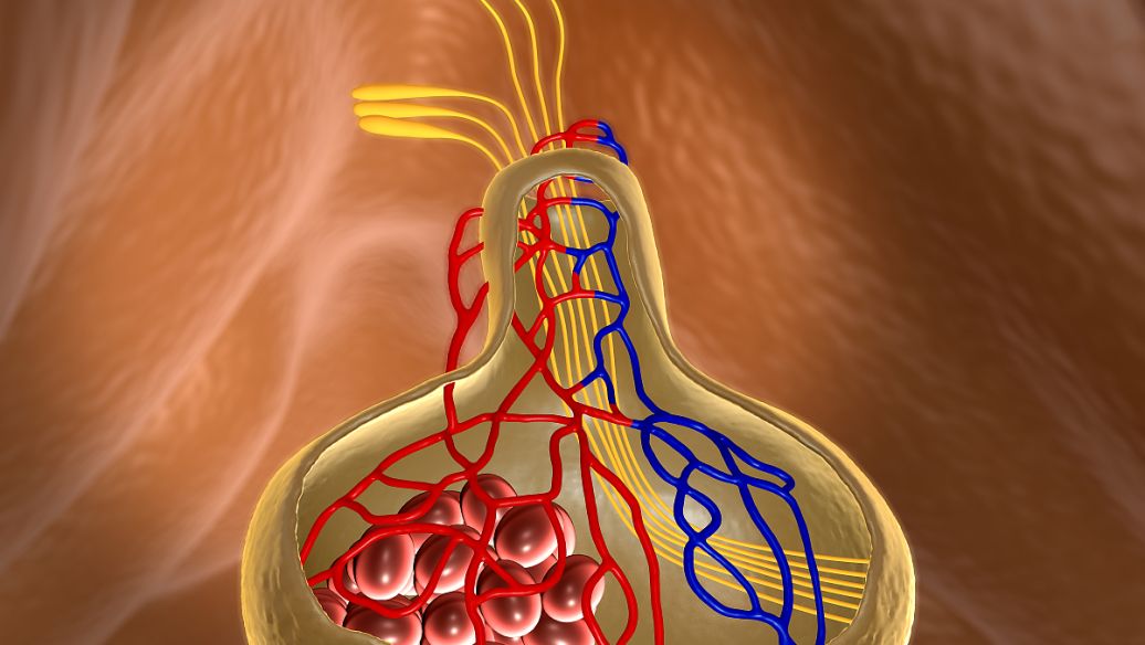 乳腺多发性结节什么原因