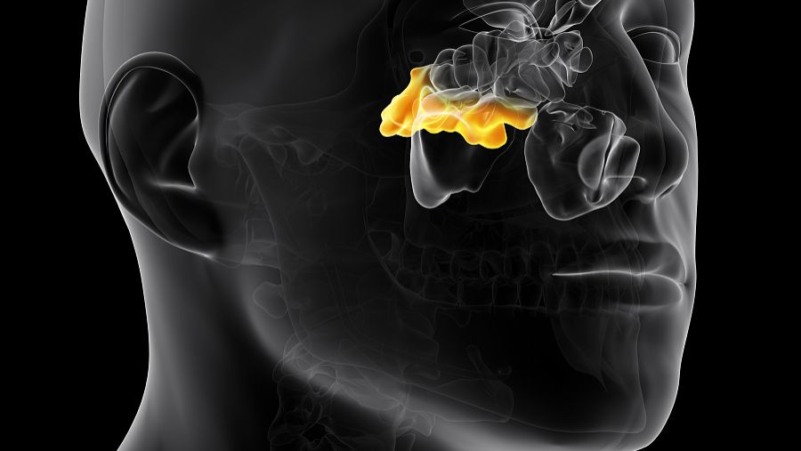 Methyl isoeugenol uses | Shaanxi BLOOM Tech Co., Ltd Methyl isoeugenol uses | Shaanxi BLOOM Tech Co., Ltd