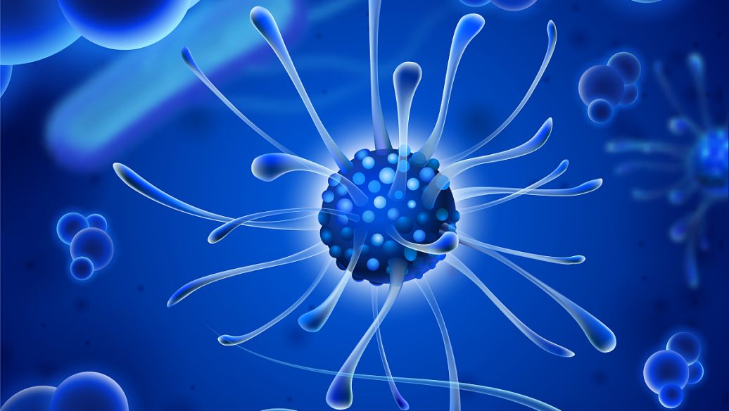 GS-441524 uses | Shaanxi BLOOM Tech Co., Ltd