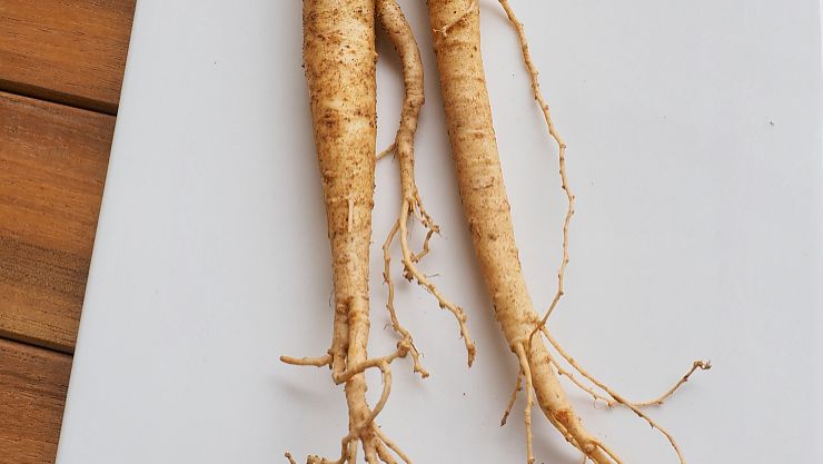 何首乌的功效和作用