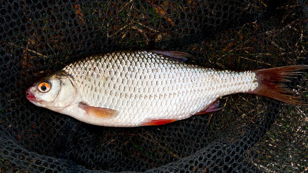 余干县水域面积