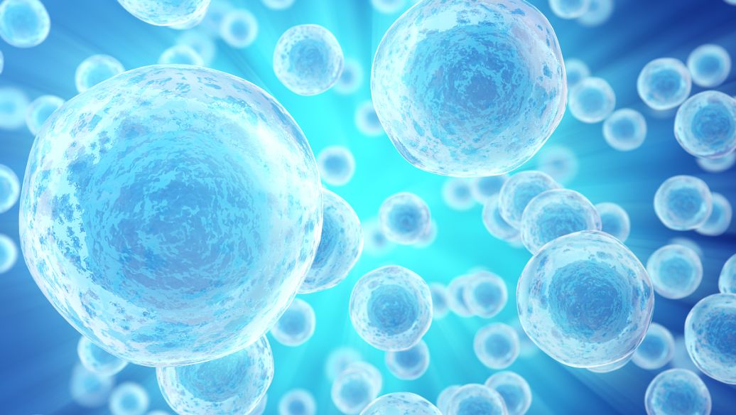 Bioglutide NA-931 price | Shaanxi BLOOM Tech Co., Ltd Bioglutide NA-931 price | Shaanxi BLOOM Tech Co., Ltd