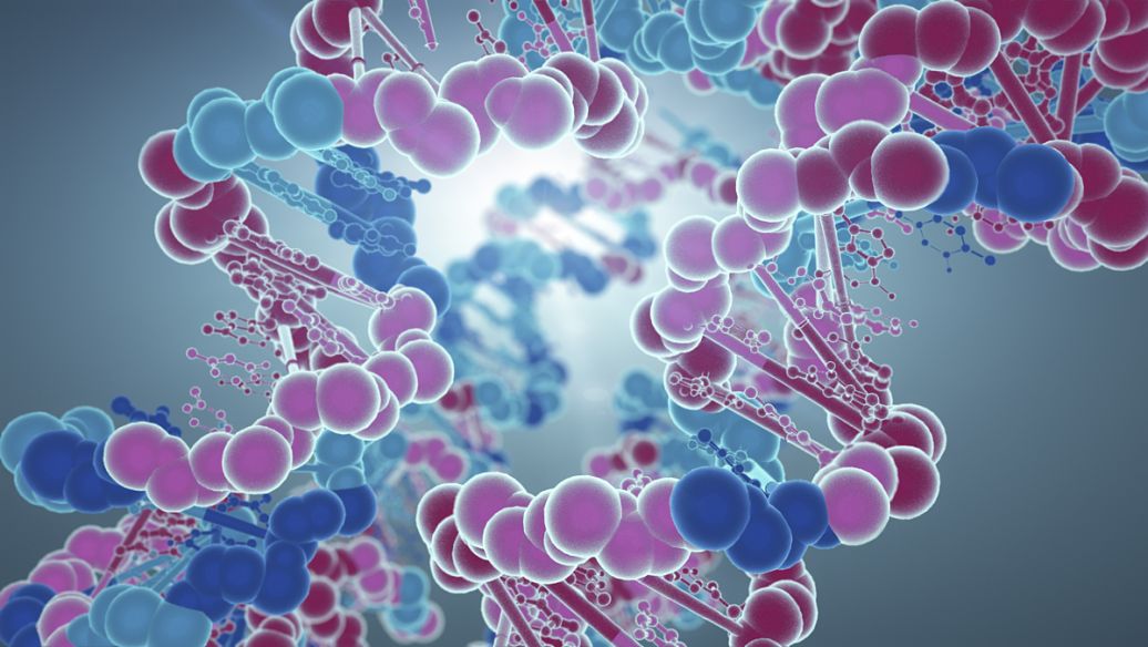 Tmcp-indole leap | Shaanxi BLOOM Tech Co., Ltd Tmcp-indole leap | Shaanxi BLOOM Tech Co., Ltd