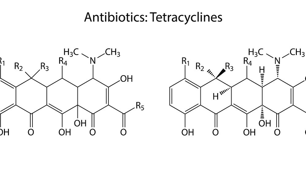 中药枳壳的功效与作用