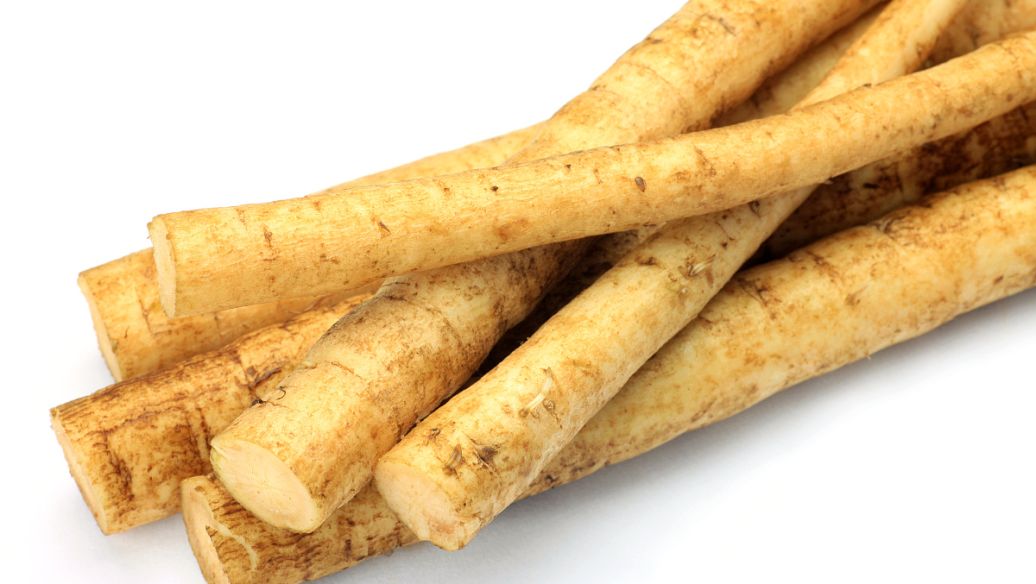 长山药的功效与作用