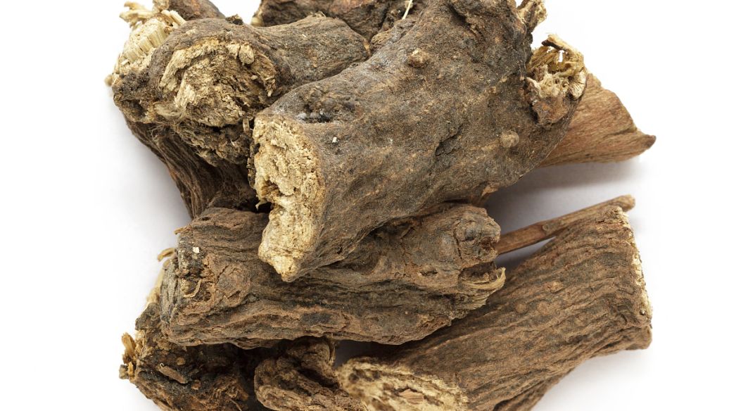 苍术的功效与作用